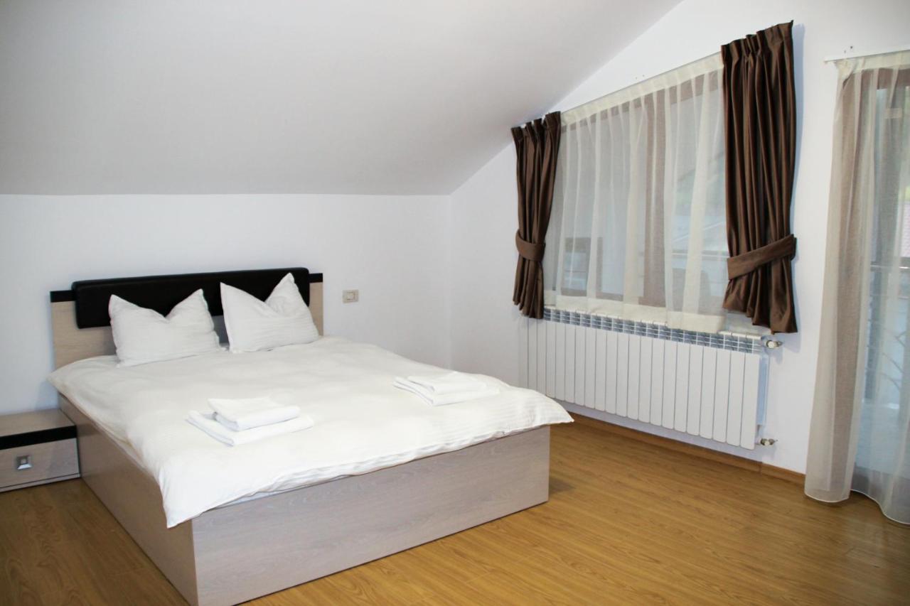 Hotel Corina Borsa  Kültér fotó