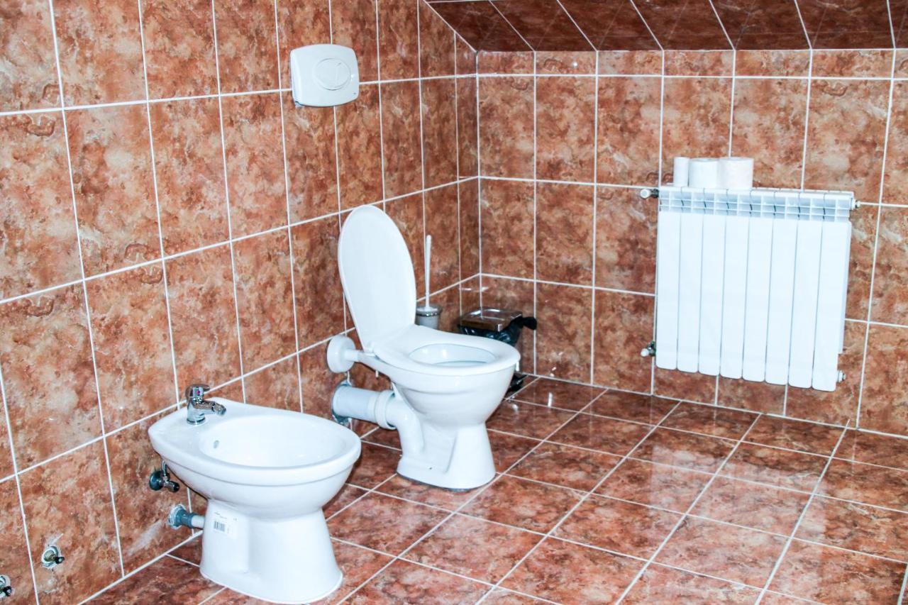 Hotel Corina Borsa  Kültér fotó