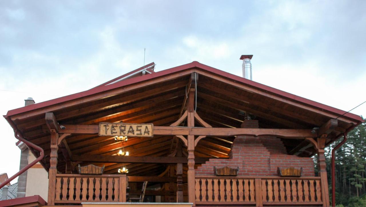 Hotel Corina Borsa  Kültér fotó